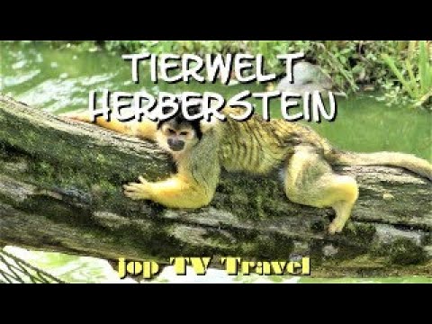 Rundgang durch die Tierwelt Herberstein (Steiermark) Österreich jop TV Travel