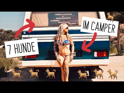 Im Wohnmobil mit sieben Hunden leben. Frei &amp; Unabhängig im Wohnmobil durch die Welt reisen