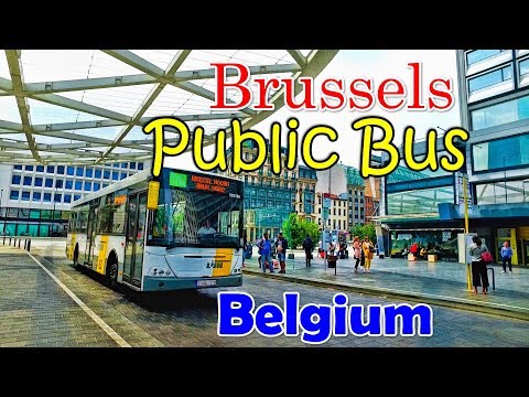 Brussels Public Bus Ride - De Lijn - Belgium